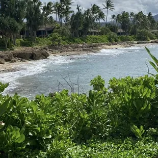 Natural Beauty Haleiwa Beach Town
