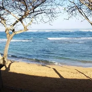 The view from the Lanai in unit 604