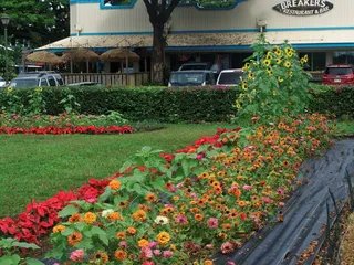 North Shore Marketplace