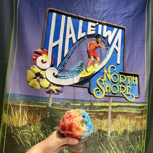 Strawberry  orange  blue Raspberry flavors with Chocolate ice cream