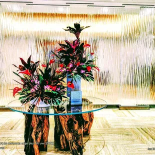 2024 AAA Four Diamond Award. Refined, stylish, upscale amenities. Attention to detail. Halepuna Waikīkī by Halekulani.