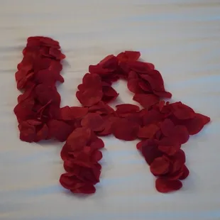 LA (petals of rose flowers) *1/2024