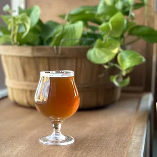 West Coast Style IPA