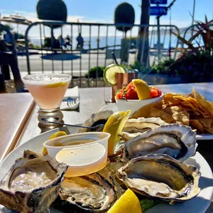 oysters and mussels, outside