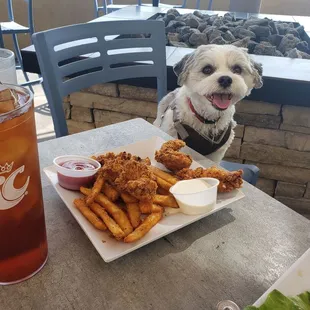 Chicken tenders on dog friendly patio