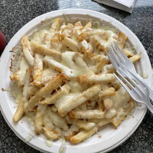 Cheese fries