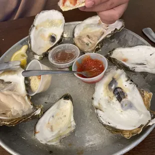 Oysters