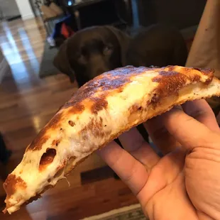 Thick chewy crust, shit tons of cheese, nice amount of pepperoni under the cheese, and a nice tangy sauce.  Myles 2.0?  Pretty close.