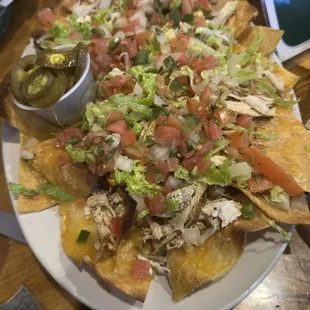 Nachos w/ Chicken
