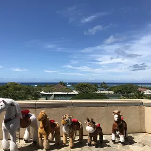 Hokua, 1288 Ala Moana Blvd, Honolulu, HI