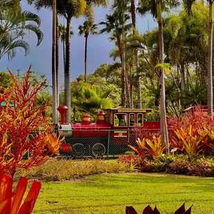 The pineapple train at the Dole Plantation on the island of Oahu, Hawaii.