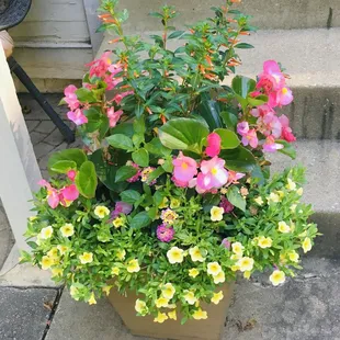 Haling's Greenhouse