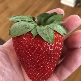 This is not an unusual berry!