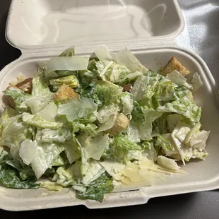 Very dressed somewhat soggy petite Caesar