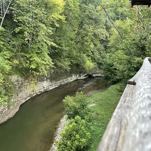 View from outside deck