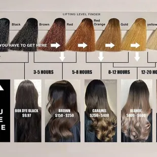 The reality of how hair coloring works and finances to achieve that look.