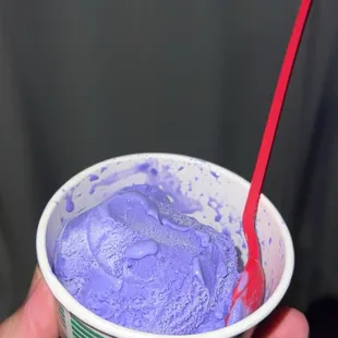 The literally one scoop? If you can call that of Ube icecream