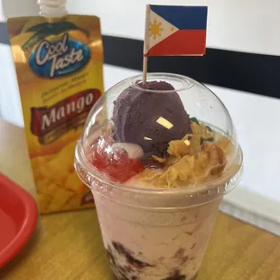 Halo-halo
