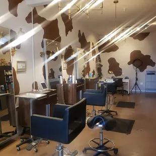 This cow print background is so unique and adorable!