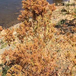 See the fishing line? Don't be "that" guy.