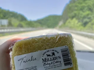 Natural Bridge Shell