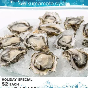 Limited Time Holiday Special, Live Hybird Kumamoto  Oyster for ONLY $2 each!!