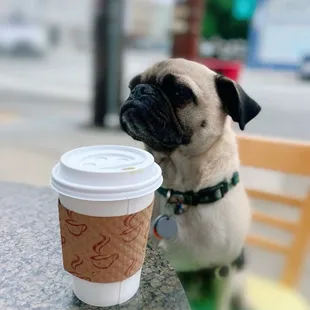 But first, coffee