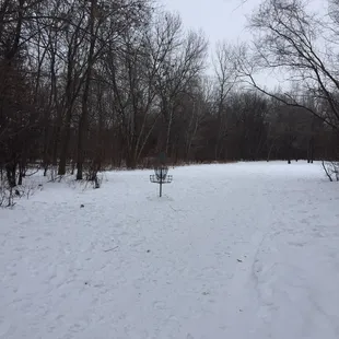 18 hole disc course!