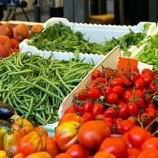 a variety of vegetables