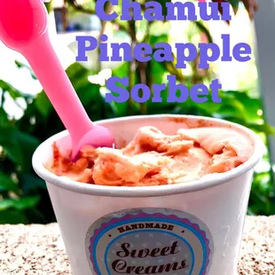 Yummy sorbet after a great meal!