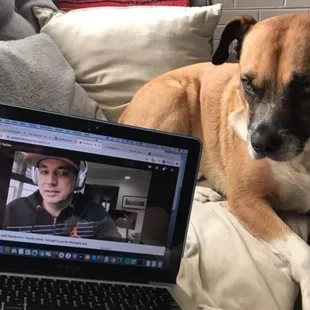 Virtual trivia even pets can enjoy.