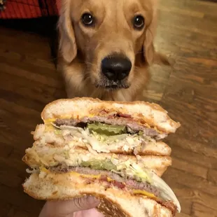 Bacon Cheeseburger &amp; Stewie
