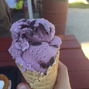This is a "baby" waffle cone and it's HUGE (also, the black cherry is really good)