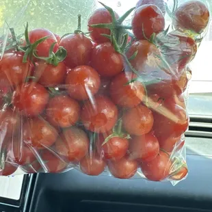 Tomatoes from the garden