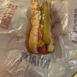 Deluxe Dog