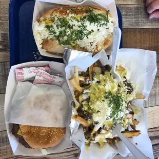 Hamburger Hotdog and carne Asada Fries