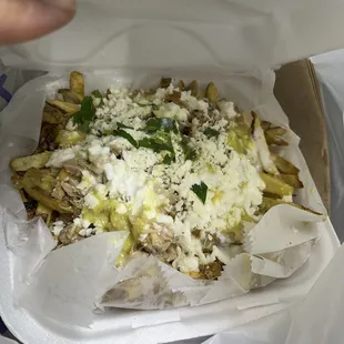 Asada Fries