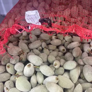 FRESH! Green almonds