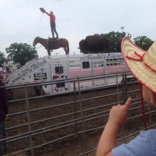 One armed bandit and 2 large bison. So cool!