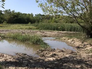 SoggyBottom Camp
