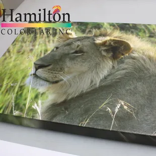 Turn your photos into canvas works of art. Bring your vacation photos to preserve your memories