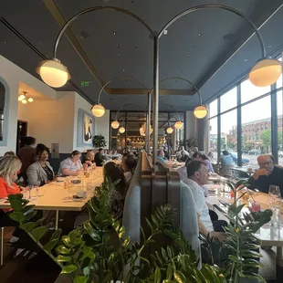 salads, interior