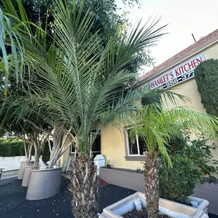Comfortable outdoors seating. Wonderful ambiance.