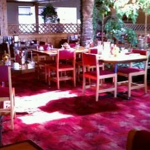 pizza, interior