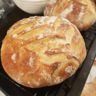 Sourdough... coming back before summer!