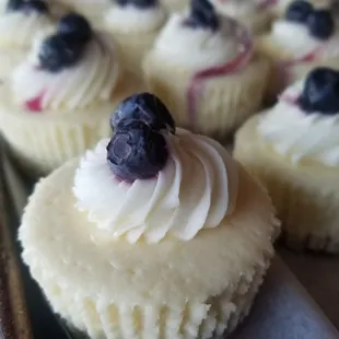 Lemon blueberry cupcake