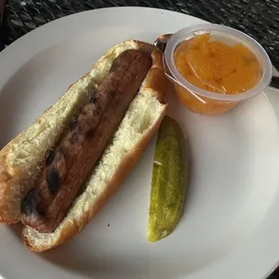 Hot Dogs