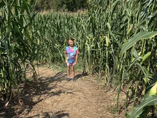 Ed-Mar Dairy Farmstead Cheese