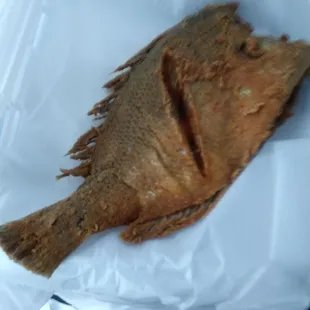 a whole fish in a plastic container