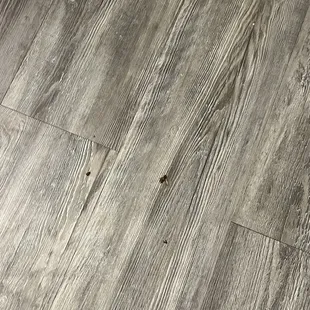 Roaches in different places in the apartment